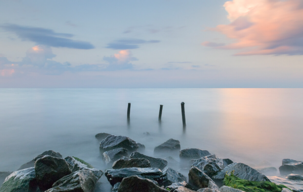 ImageCraft Pro - Image 8