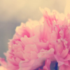 DesignLens Studios - Image 4